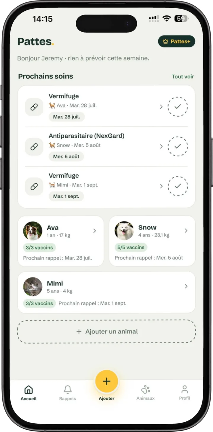 L’écran d’accueil de l’application Pattes : les prochains soins et vos animaux