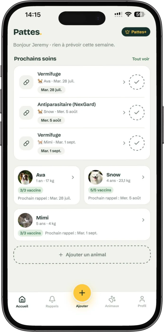 Écran d'accueil de l'application Pattes avec les prochains soins