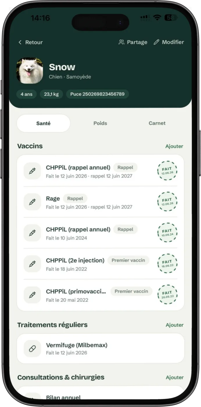 Fiche santé d'un chien dans l'application Pattes avec l'historique des vaccins et la prochaine échéance de rappel